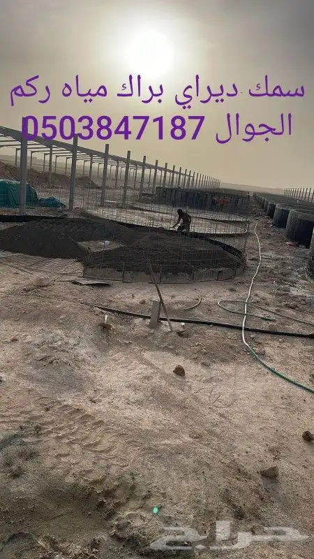سمك ديراي سب 1