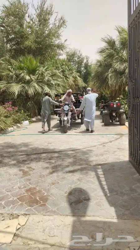 8499الدباب خوض للمزرعه جوده ممتاز وردالعمود الأصلي 1