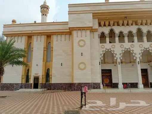 معلم باكستاني دهانات جرافيت داخلي وخارجي 10