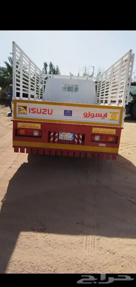 دينا ايسوزو 2014 4