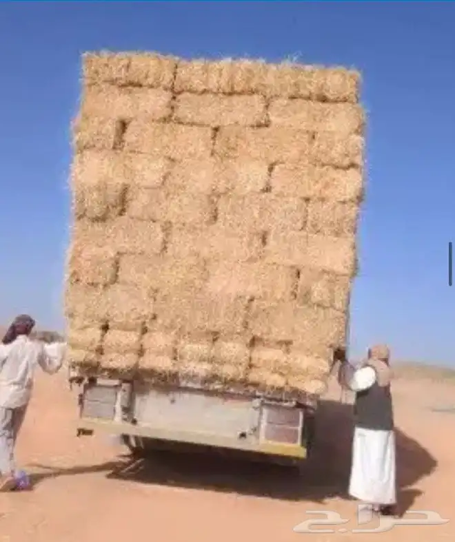 حراج اعلاف برسيم وتبن وذره ورودس 1