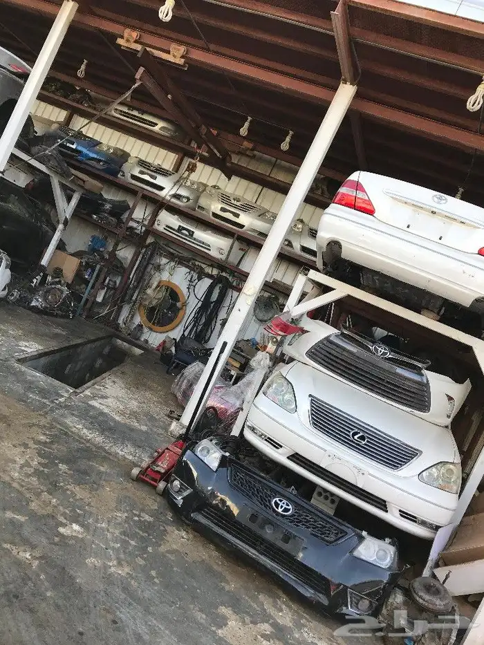 وين عشاقين الكزس سندرلا 18