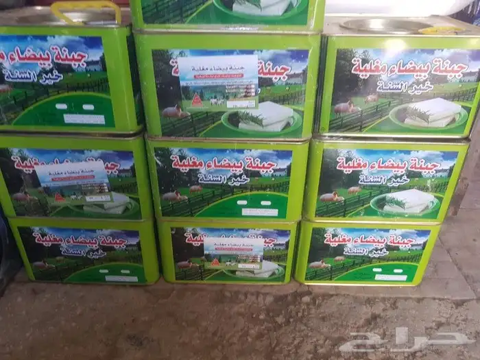 جبنه عرب مقليه 8