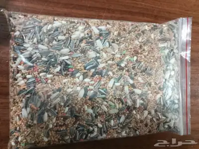 اكل طيور الروز والكوكتيل والفيشر 0