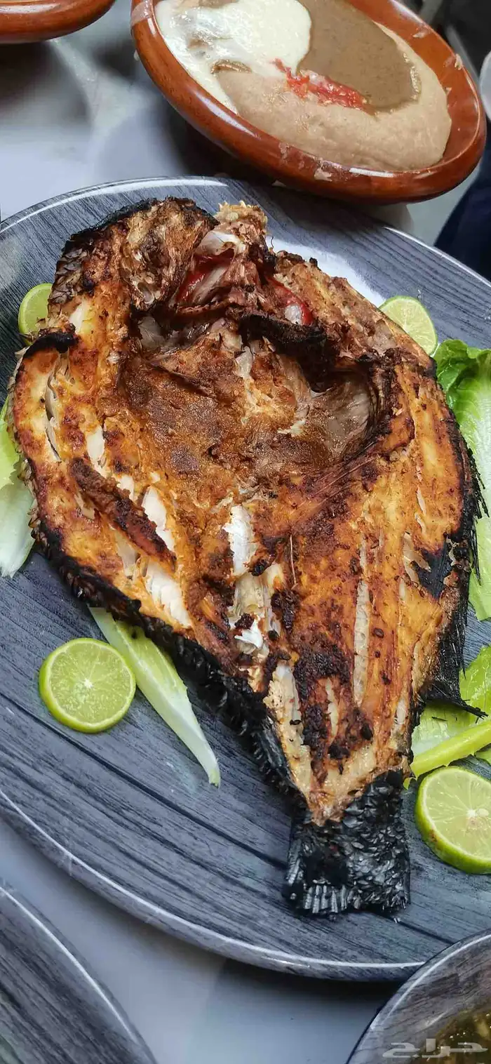 اسماك طازجة جدة 8