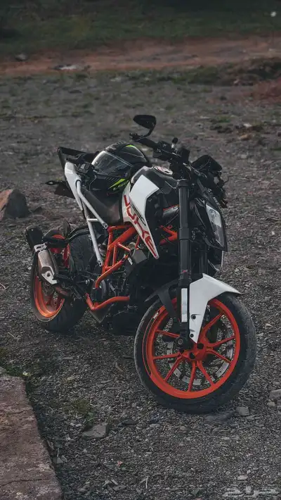 2019 KTM DUKE 390 index