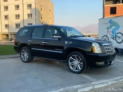سكلد اسود بلاتينيوم قصير 2009 أعلى صنف على الشرط 24