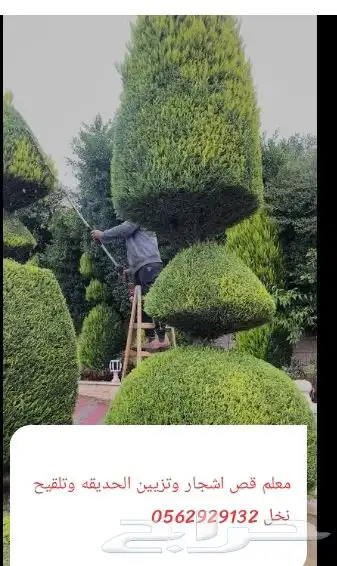 معلم تكريب النخل وقص اشجار وتزيين الحديقه 8