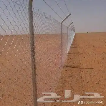 شبوكات ونخيل 1