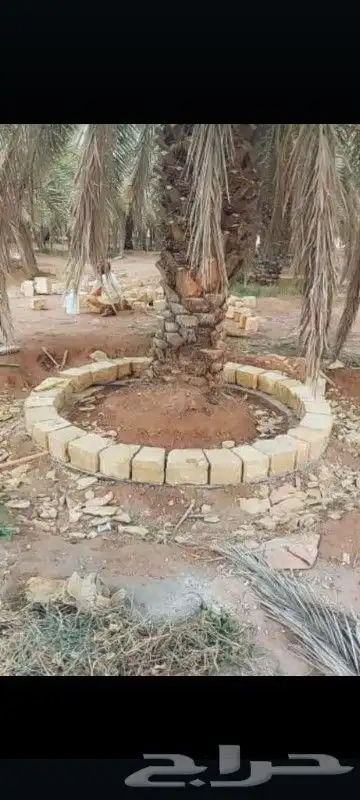 مقاول بنا الحجر 1