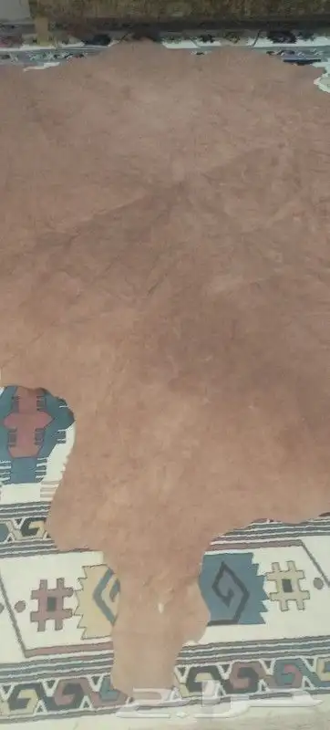 جلد بقر طبيعي إيطالي 2