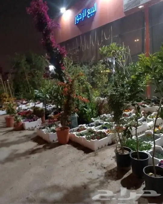 مشتل تنسيق حدائق 9