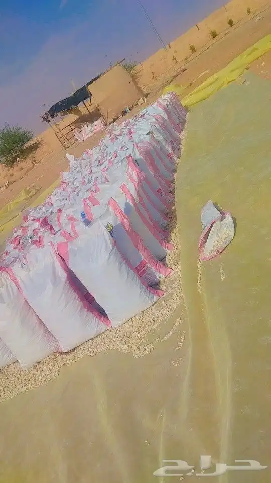 عجين طحين اعلاف الابل 1