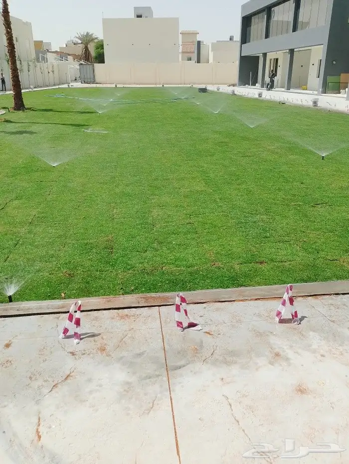 ثيل طبيعي سي 2000 4