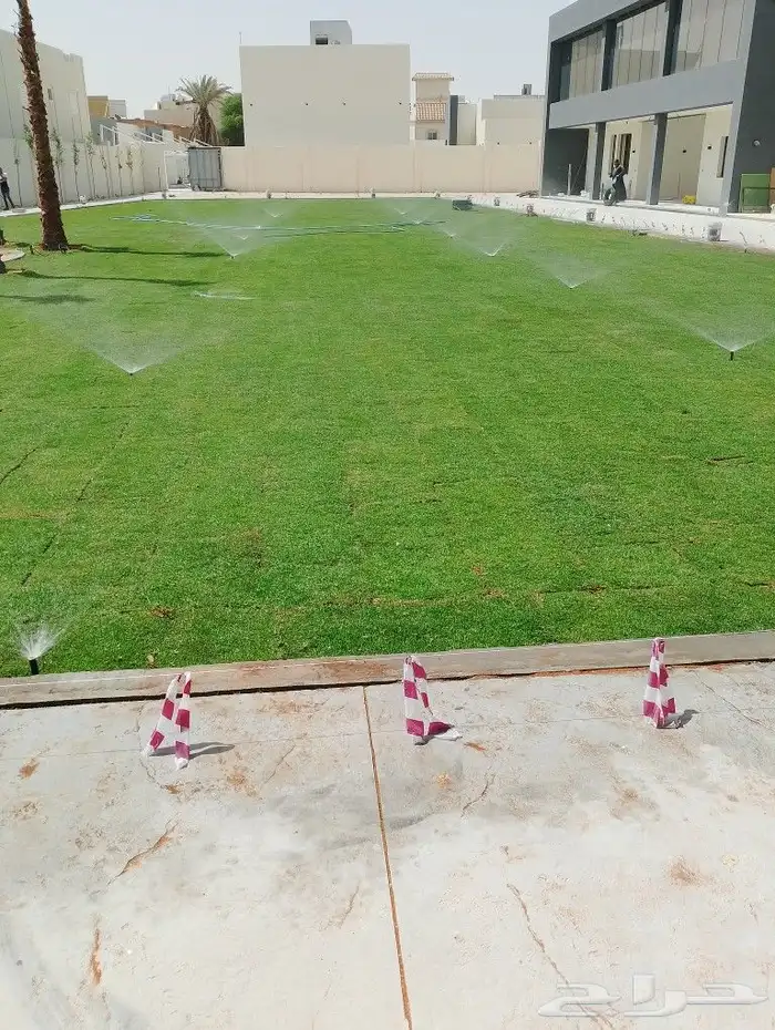 ثيل طبيعي سي 2000 3