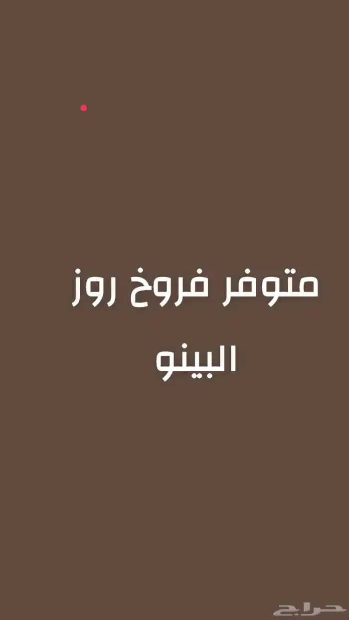 فروخ البينو 0