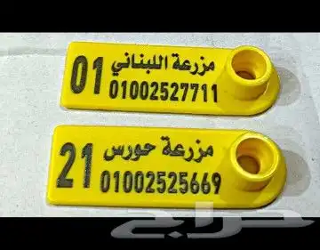 بطاقات ترقيم أذن الغنم والماعز 4