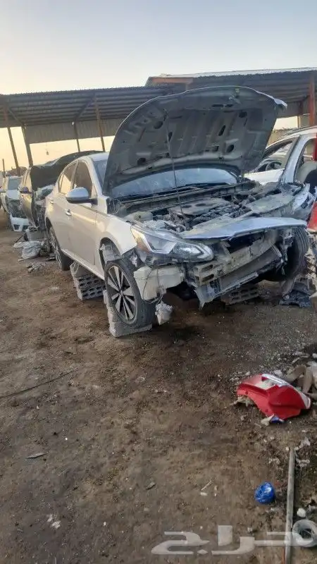 نيسان التيما 2020 1