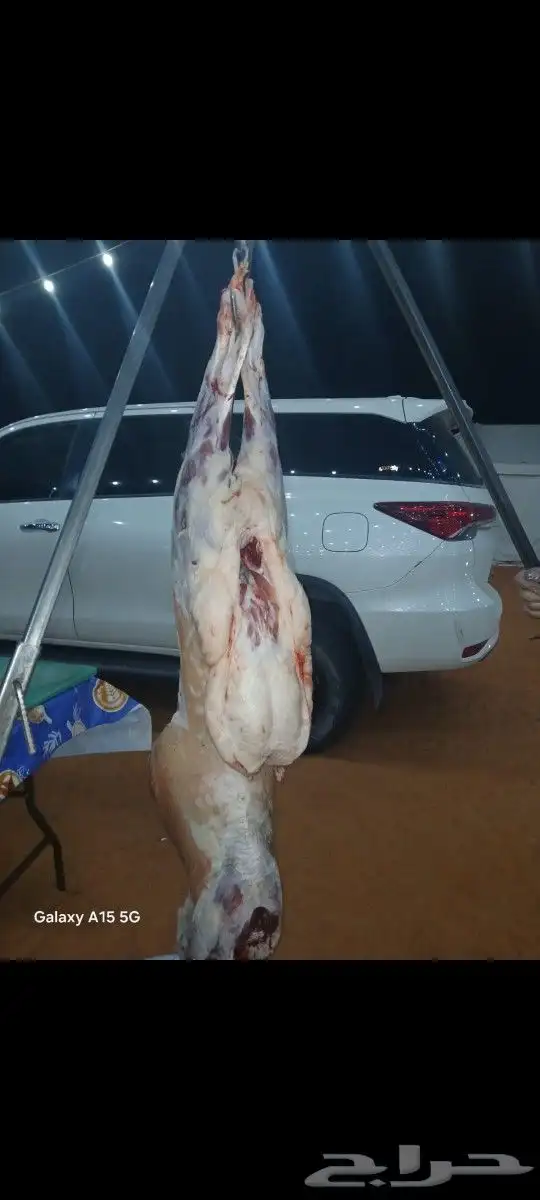 معلم مشاوي مشويات شوي 9