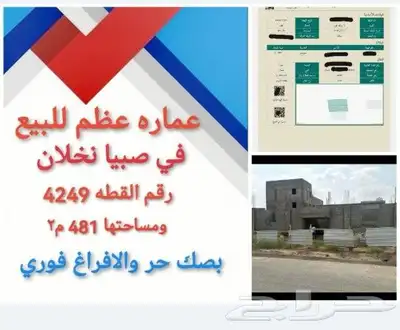 عماره في صبيا عظم للبيع نخلان صبياء 1