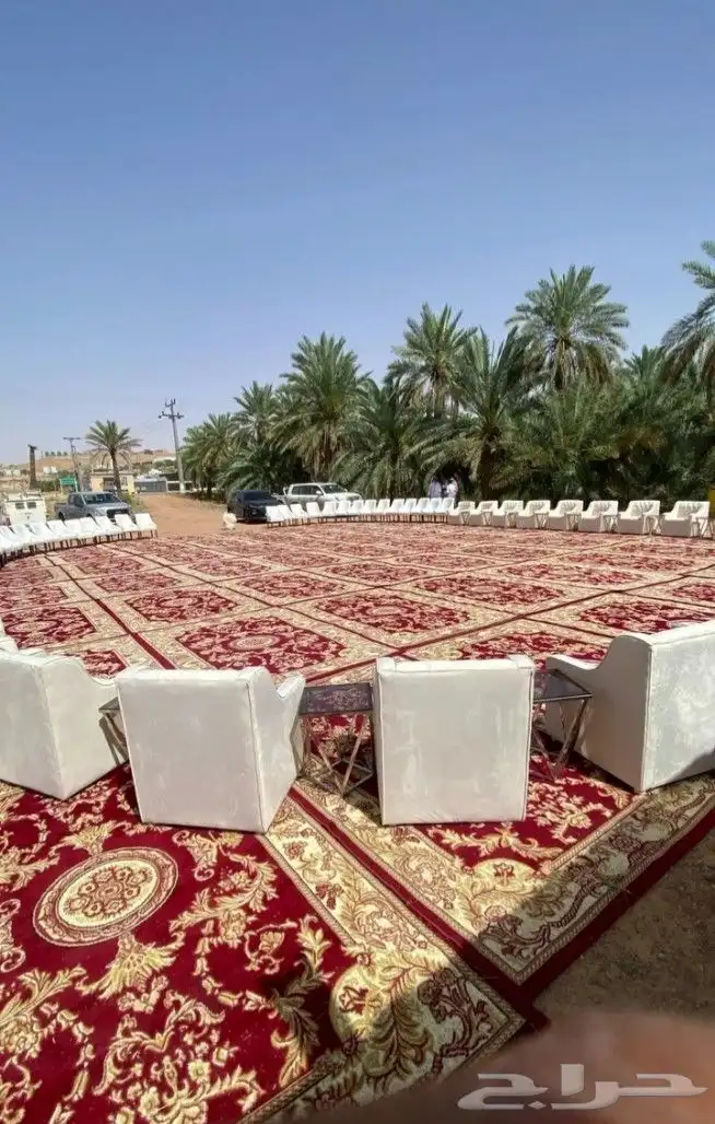 تاجير كنب مفرد كنب ثلاثي كراسي ملكي زل ملكي طاولات بوفيه 14