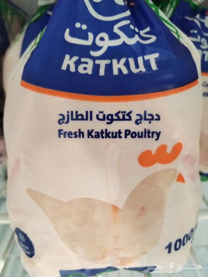 يوجد دجاج كتكوت نخب اول جميع ابمقاسات مبرد 0