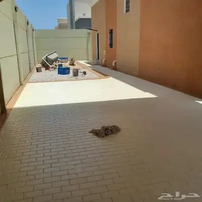 دهان الجبيل 5