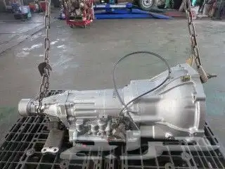 مكسيما2020 3