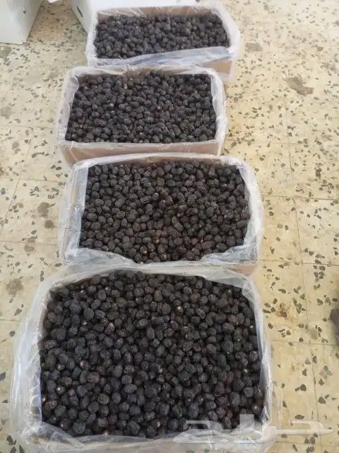 عجوة كمية 5 طن سعر فقط 11 ريال 0