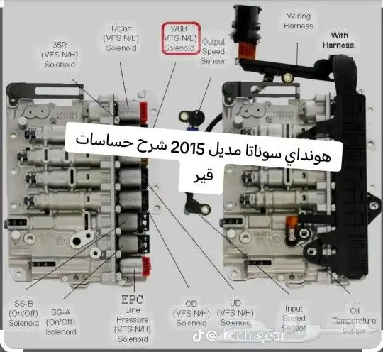 مكسيما2020 0