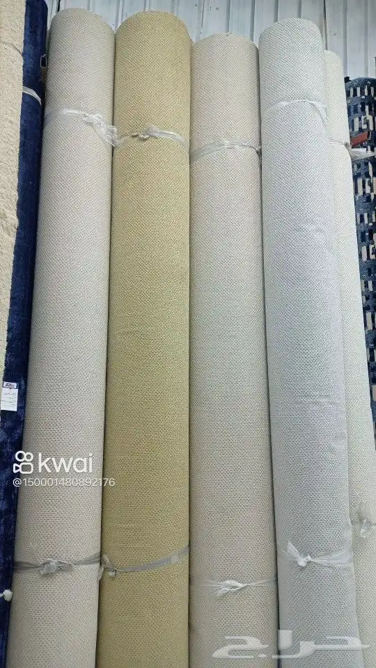 موقعنا فى بيشه 24