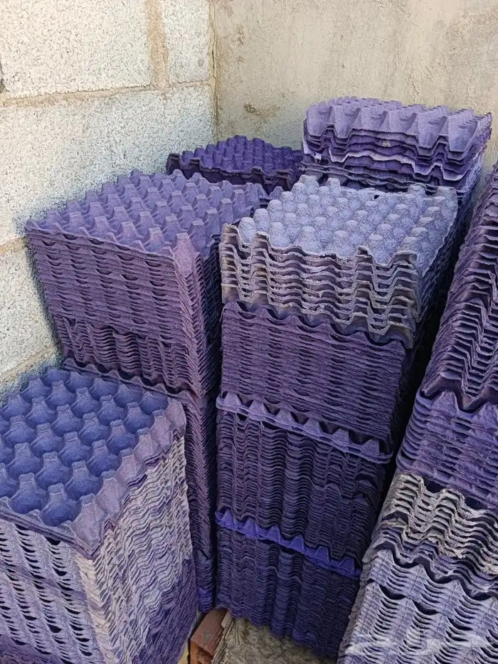 للبيع اطباق بيض نظيفه جدا 2