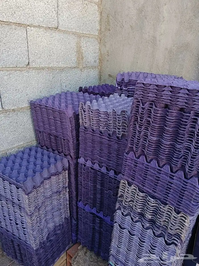 للبيع اطباق بيض نظيفه جدا 3