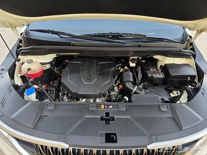 تم البيع كرنفال ديزل 2021 بطاقة جمركية فل الاحساء 35