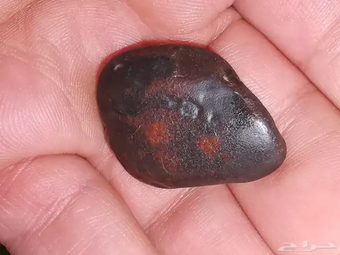 هبهاب قطع طبيعي نوادر 1