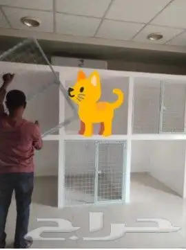 Cat and dogs 3