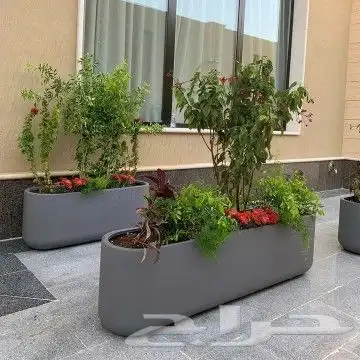 زراعه وتنسيق الحدايق مشتل 6