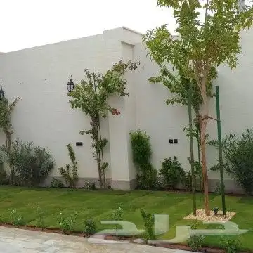 المسطحات الخضراء الزراع ثيل سي2000 فرنسي 7