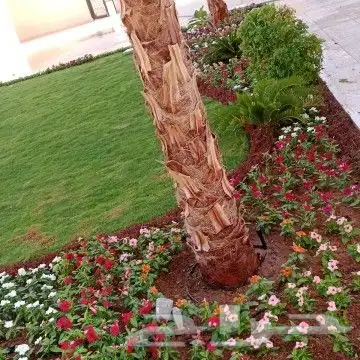 مشتل زراعي وتنسيق الحدايق 9