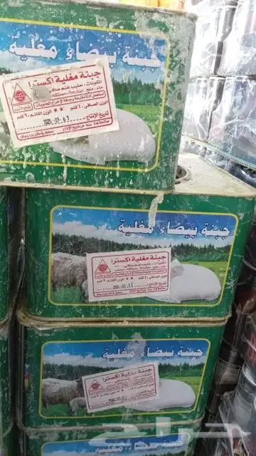 جبنه عرب مقليه 1