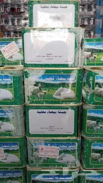 جبنه عرب مقليه 4