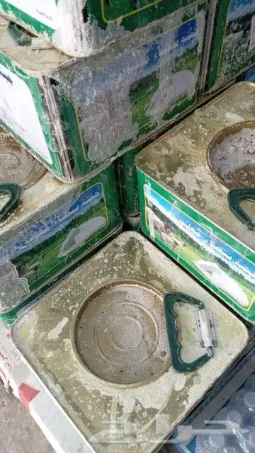 جبنه عرب مقليه 1