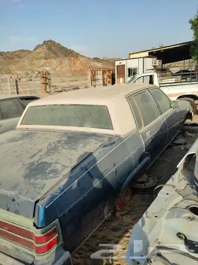 1983 Buick Electra - تشليح. بيوك إلكترا 83 3