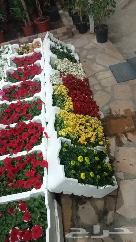 مشتل زراعي وتنسيق الحدايق 10