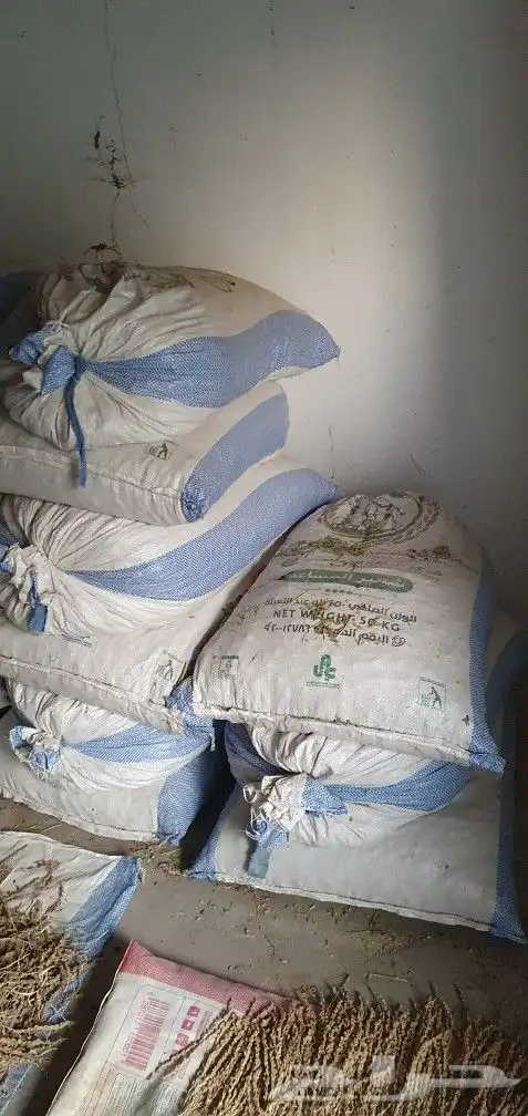 تمر وحشف للبيع 4