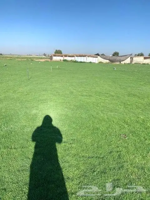 تنسيق حدائق 1