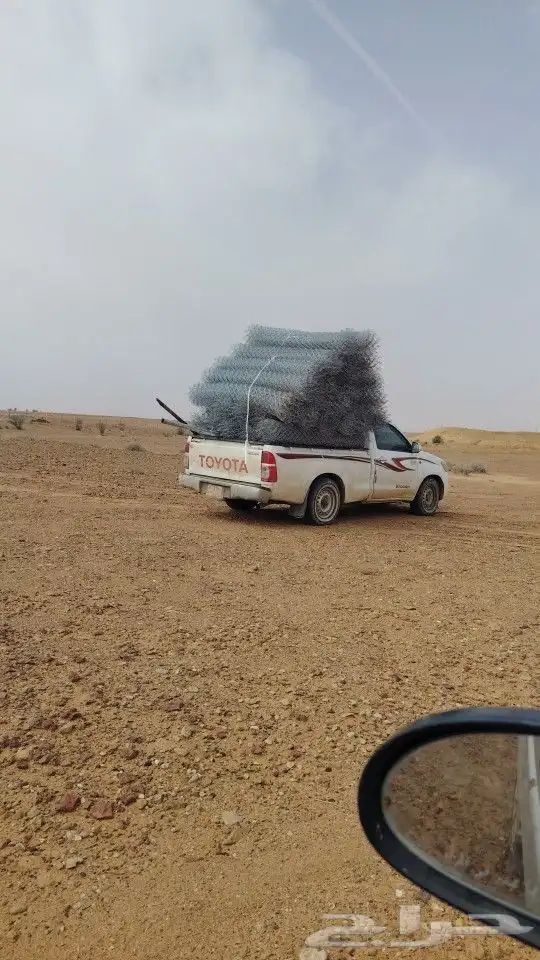 يوجد لدينا جميع انواع النخيل المثمر وتركيب الشبوك 6