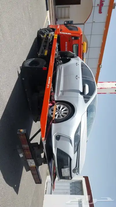 سطحه بيشه 5 9 1 7 7 6 7 5 5 0 1