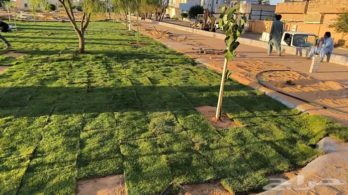 مراقب انشائي 3