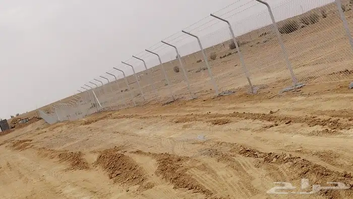 يوجد لدينا جميع انواع النخيل المثمر وتركيب الشبوك 5